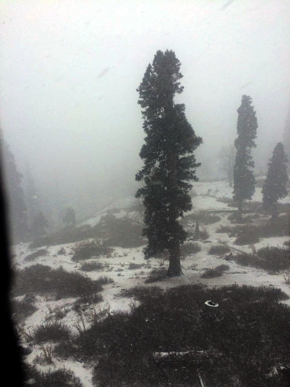 GULMARG WITNESSES FRESH SNOWFALL OF THE SESSION