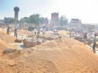 fatehabad, rice price hike, record broken, 2700 rs, fatehabad,  harayana