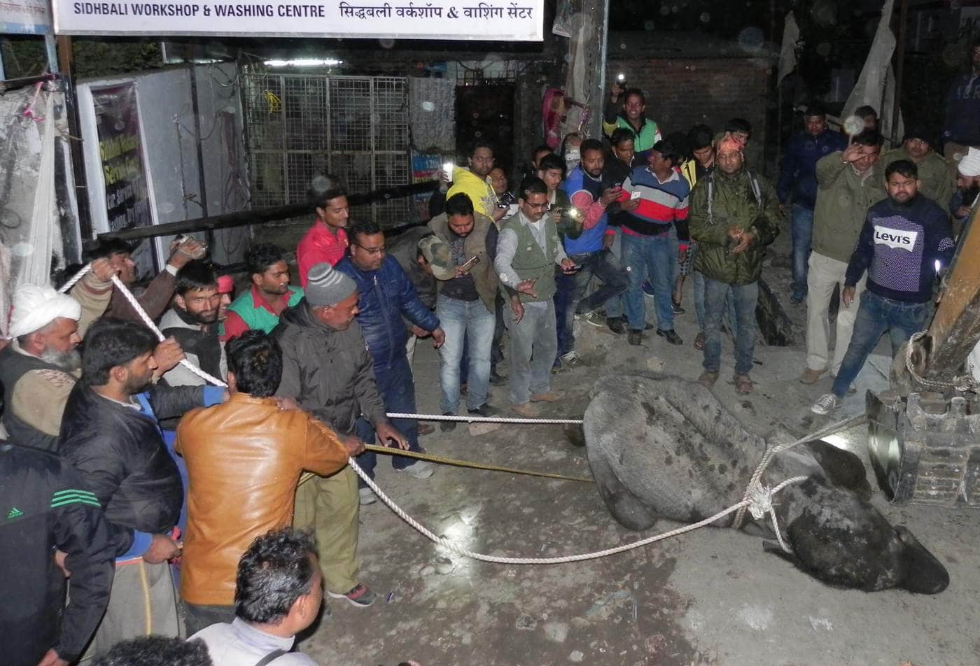 baby elephant rescue from water tank.