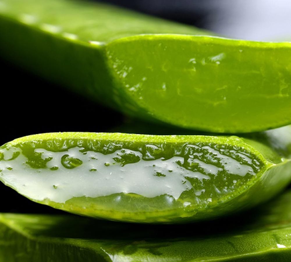 5 Homemade Hair Oils to Stop Hair Fall in 1 Week