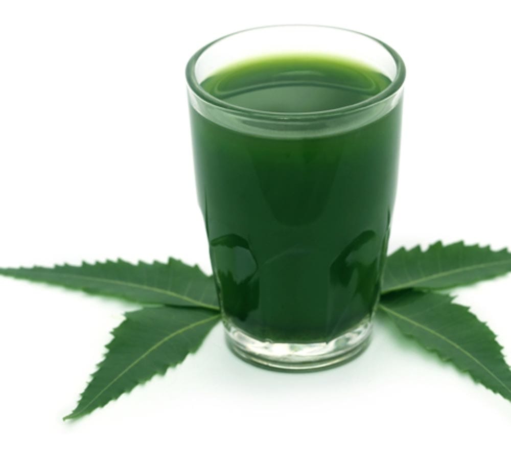 neem juice can cause infertility