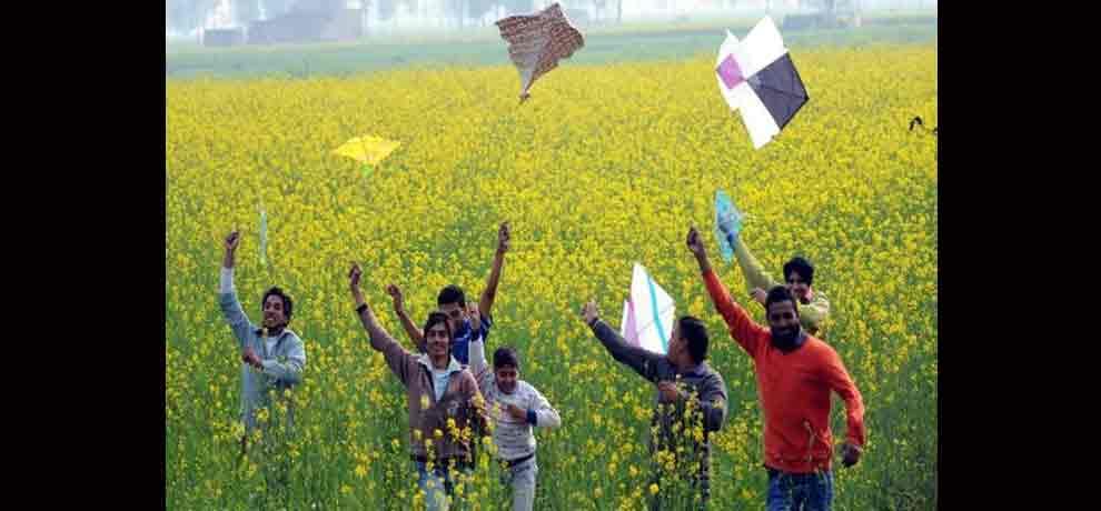 NGT bans sale, use of glass coated thread, including Chinese manjha