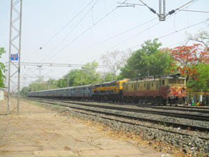 train not stoped