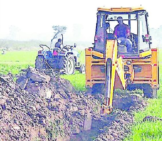Possession of forest land provided free