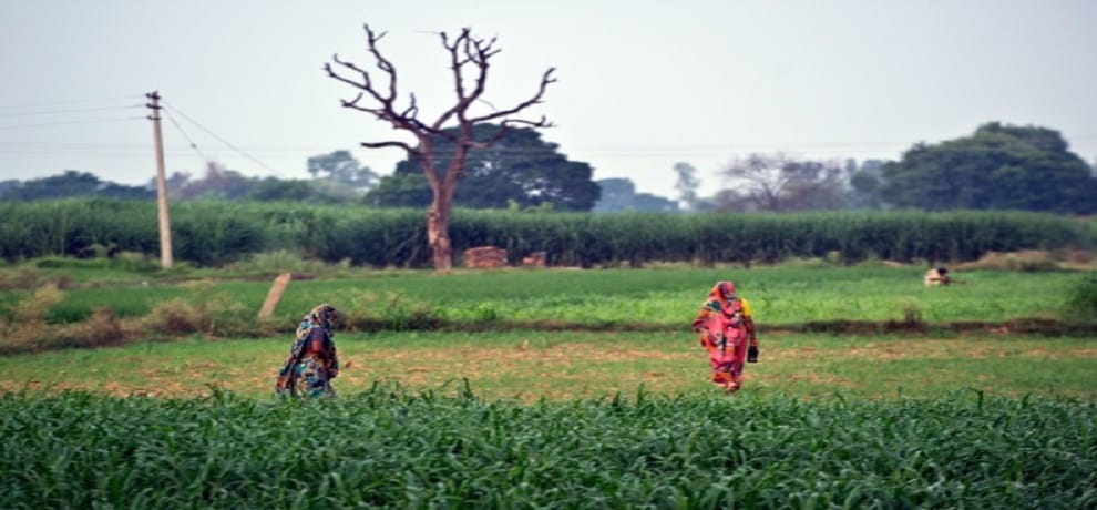 Most cases of rape in India because of open defecation