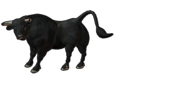 animal injured eleder person in una