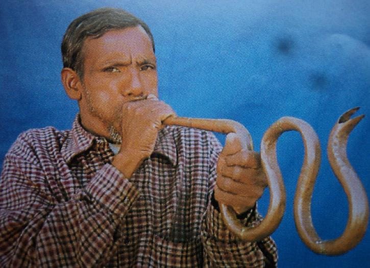 Almora traditional musical instrument