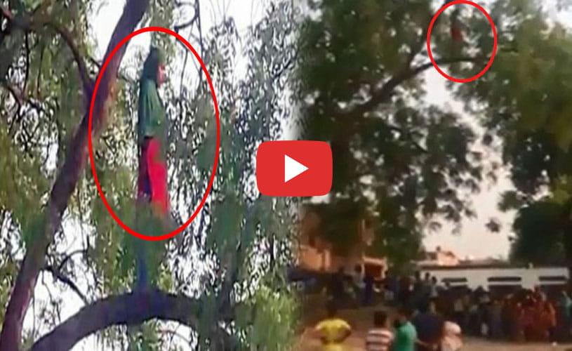 woman offering namaz on a tree branch 