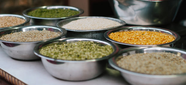 risk of scorching on pulses crop