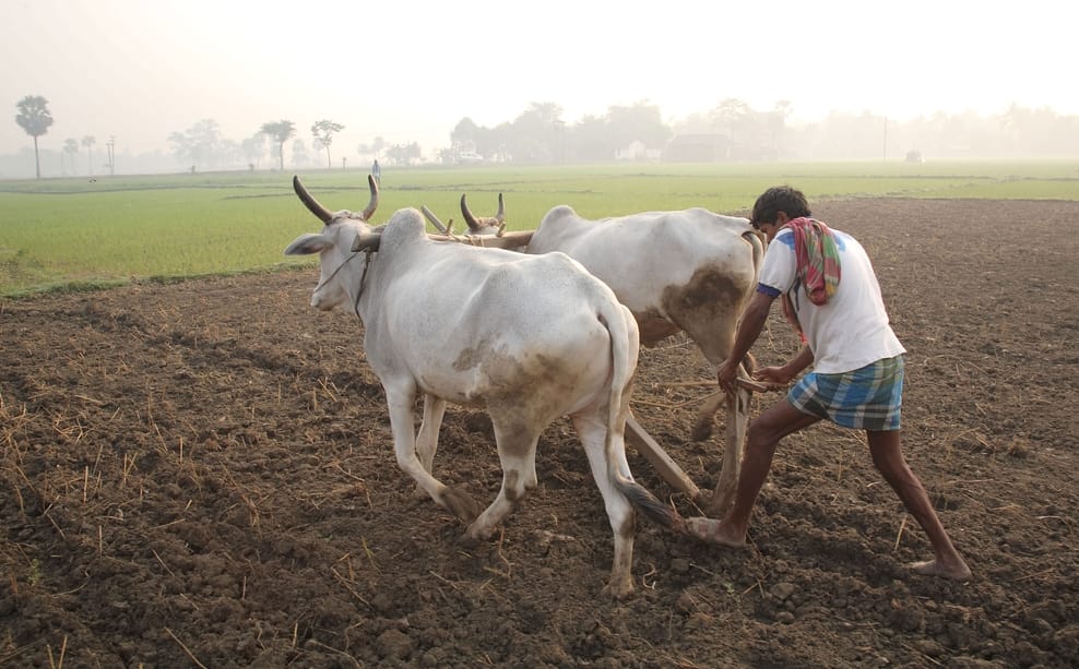 GST Effects on Agriculture and Farmers.