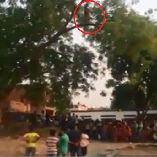 woman offering namaz on a tree branch 