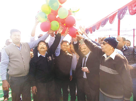 Three hundred people share allotment letter