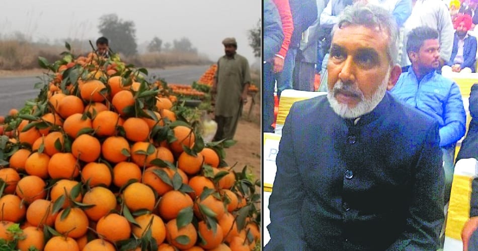 amazing success story of abohar farmer surinder kumar, from kinnow seller to businessman