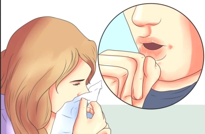 WHO Report on Tuberculosis in India.