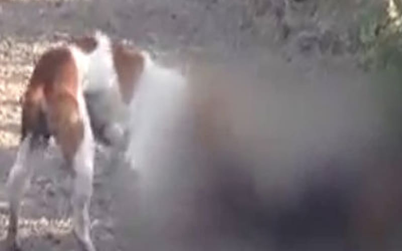 dead body found in ghatampur 