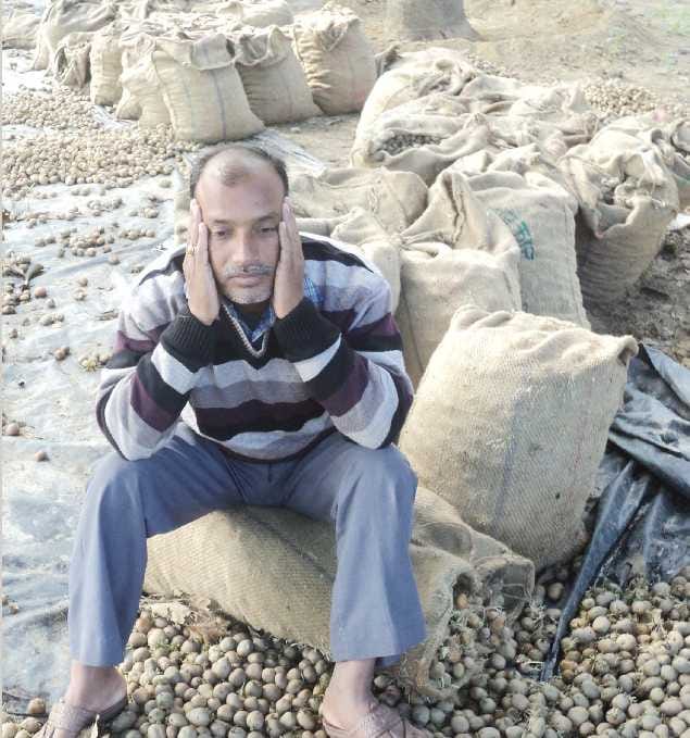 Notbandi potato farmers in crisis