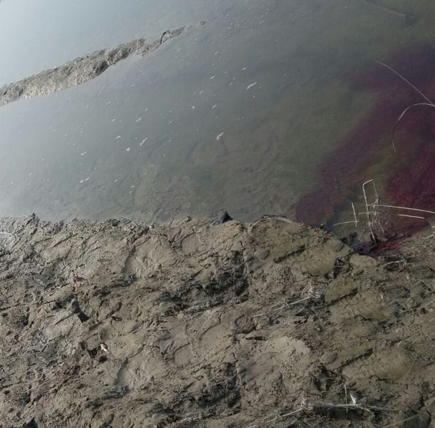 khoon se laal hua patit paavanee ganga ka paanee