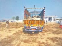 fatehabad, truck, 11 dead ox found, 6 injured,  fatehabad,  harayana