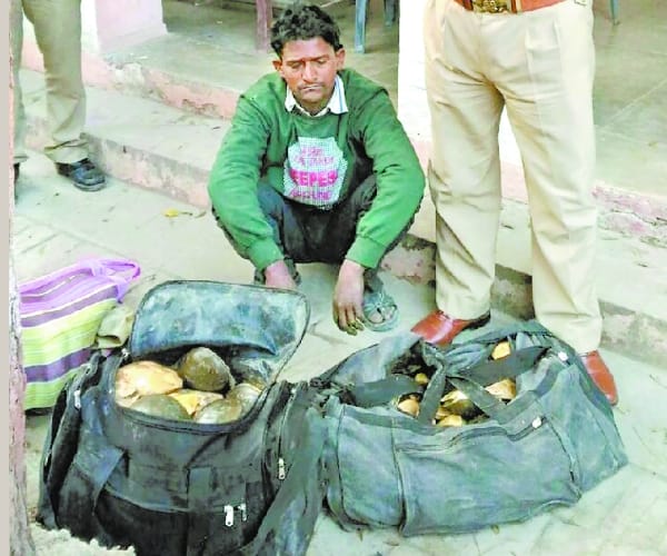 A couple get caught with 80 tortoise.