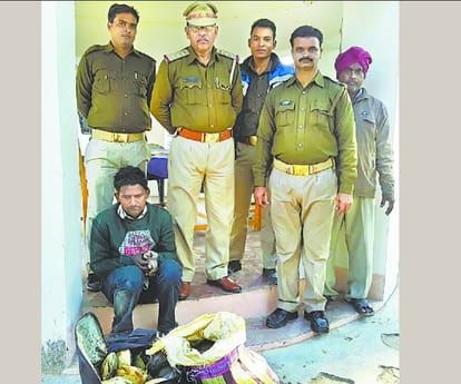 A couple get caught with 80 tortoise.
