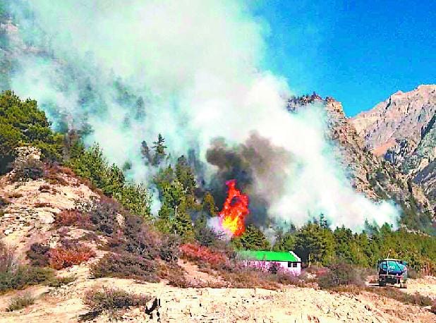 Gunji forest fire contained