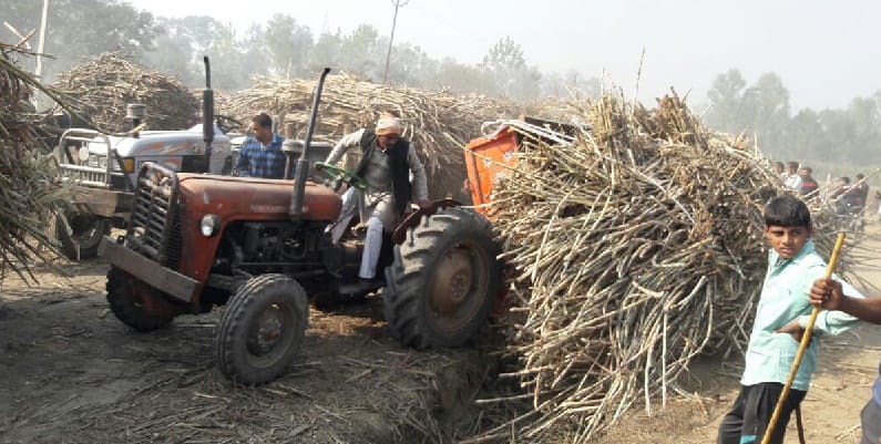 Farmers in the sugar mill Tikaula commotion