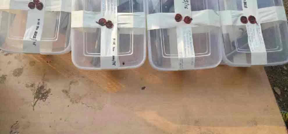 43 pistols and 38 magazine found in delhi 