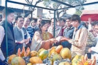 sonipat, cashlesh, minister support, give smartphone