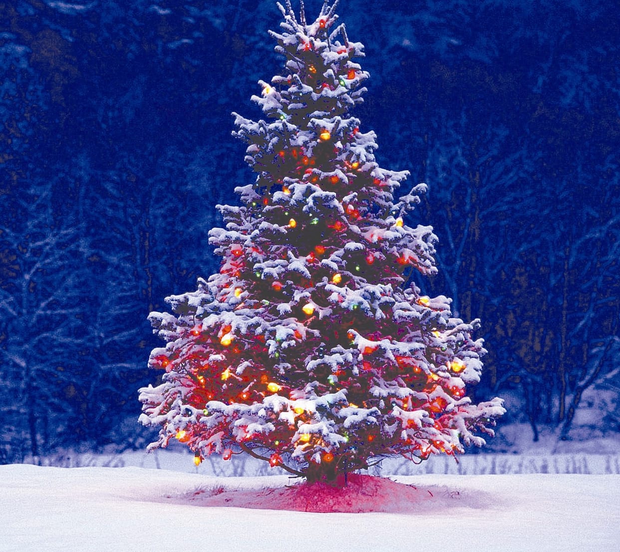Effect of demonetization on Christmas tree