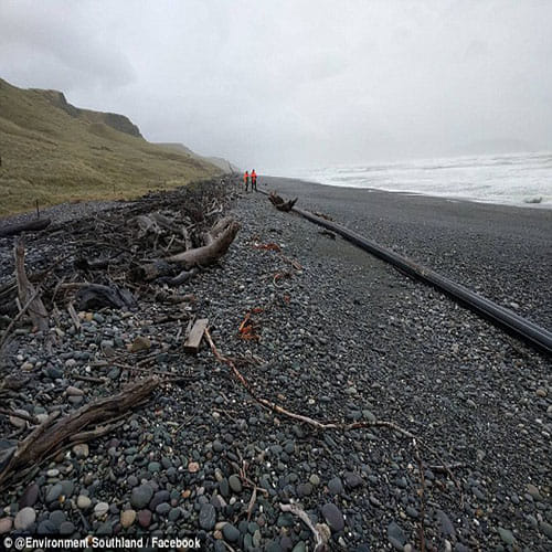 100 metre long pipe has washed up on a beach  