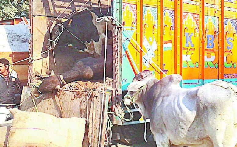 police Sarva UP Gramin Bank vandalized, Hungama