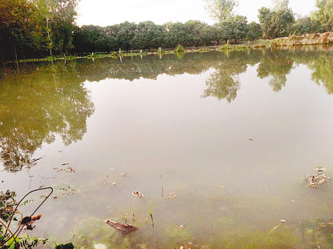 Khandi Kati, 50 bigha crop steeped