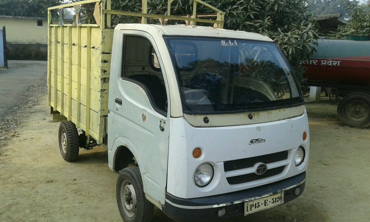 tortoise smuggling in uttar pradesh