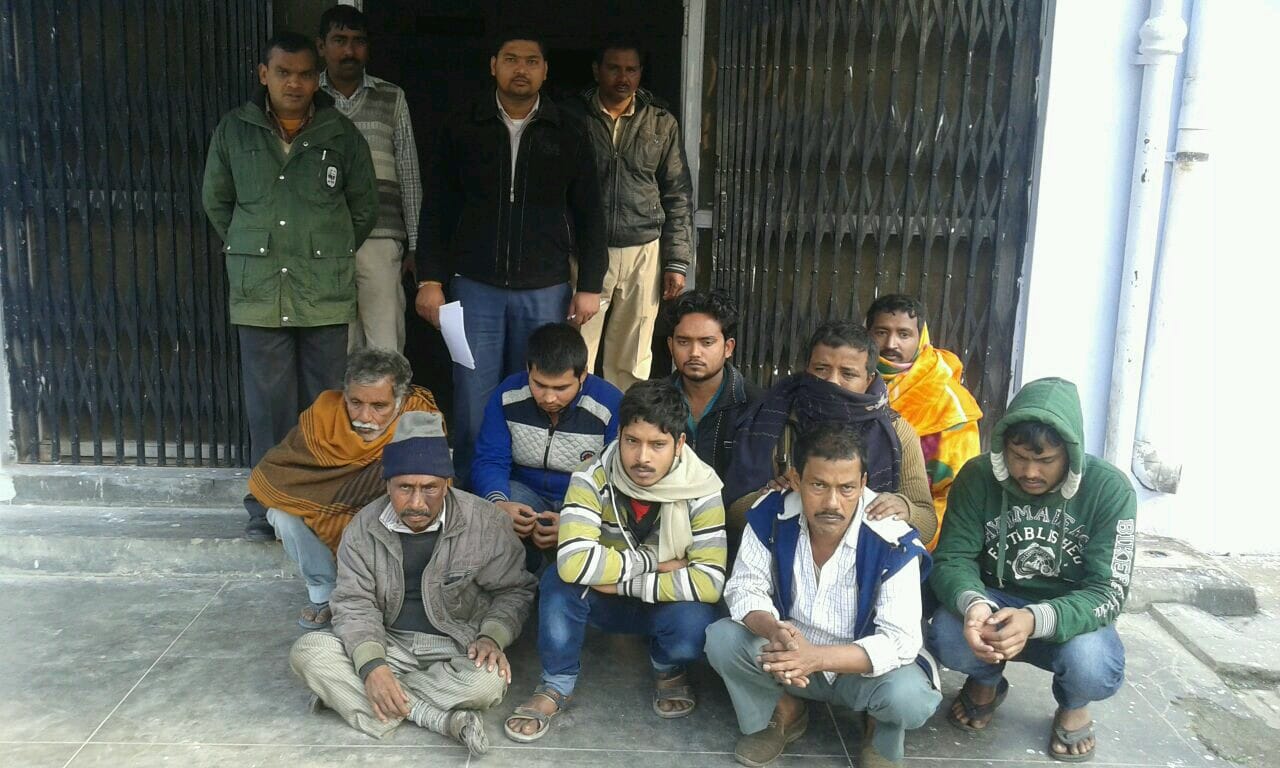 tortoise smuggling in uttar pradesh