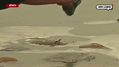 Water bodies freeze as temperature drops below 0 degrees Celsius in Srinagar 