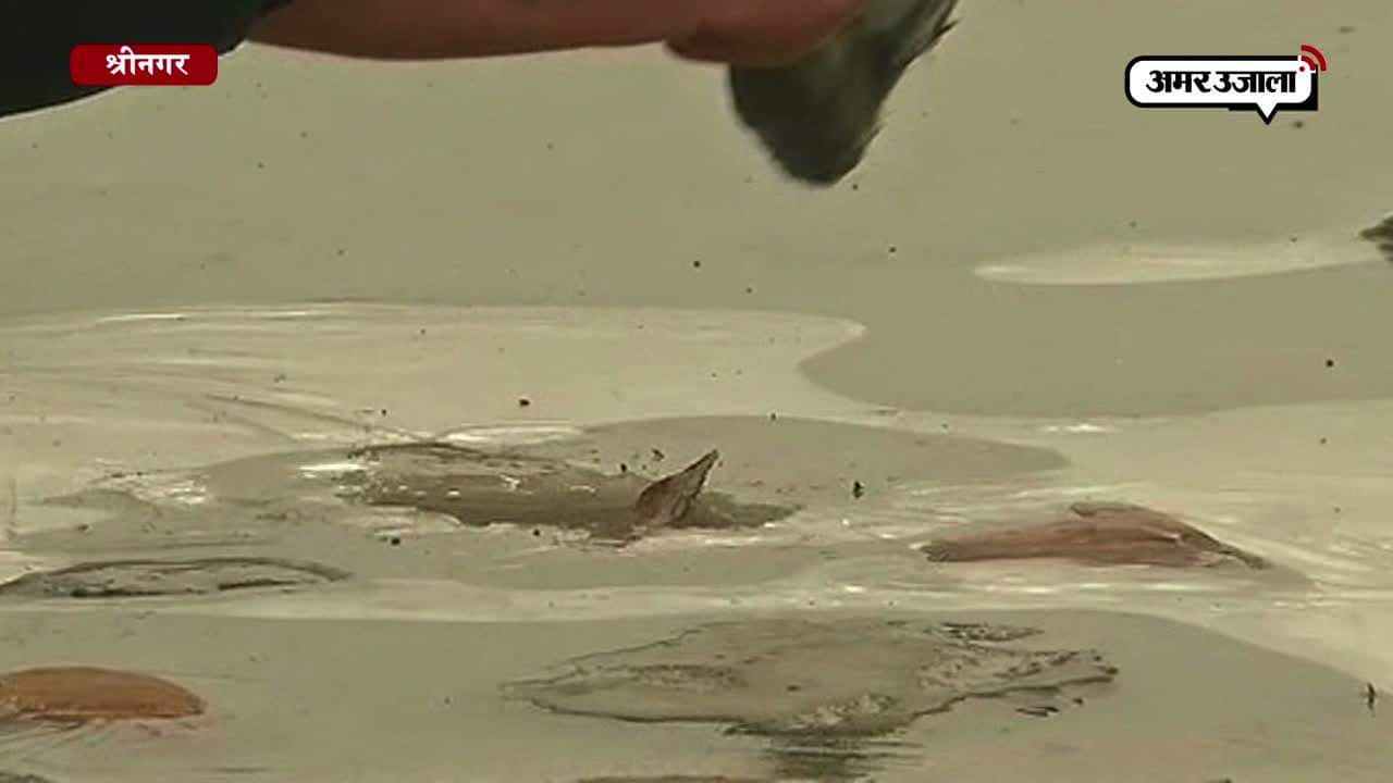 श्रीनगर में शून्य से नीचे गिरा पारा, ठंड से जमा झीलों का पानी 