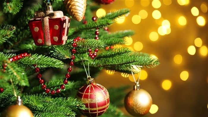 Christmas Day 2023 Christmas Vastu Tips Know How Christmas Tree Removes Negativity Energy At Home