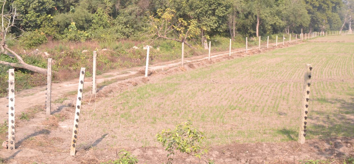 Facing the Forest Department will protect wildlife wire