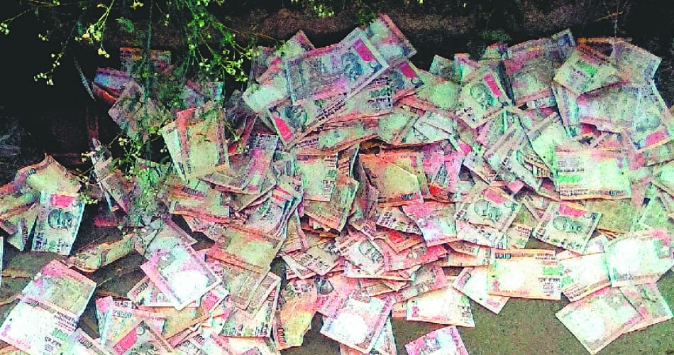noteban, millions of old note thrown in plot at industrial area phase two at panchkula