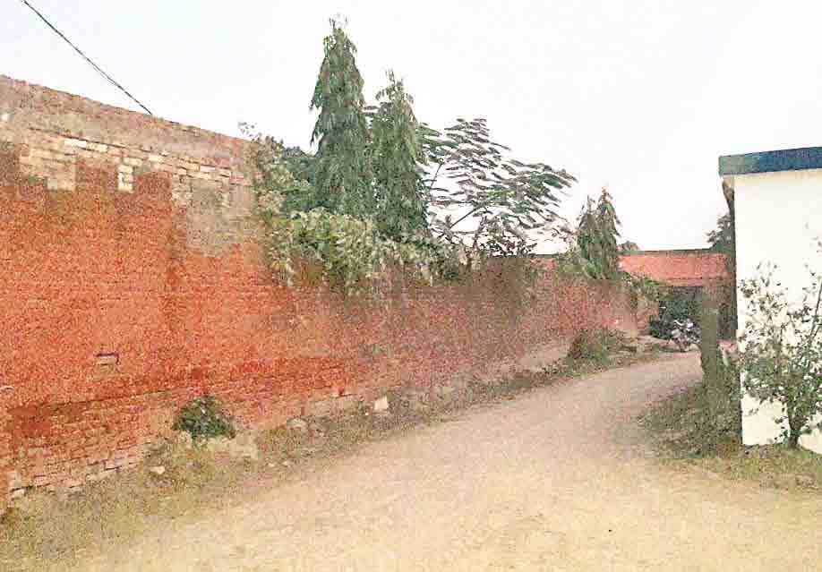 punjab ats lift young 