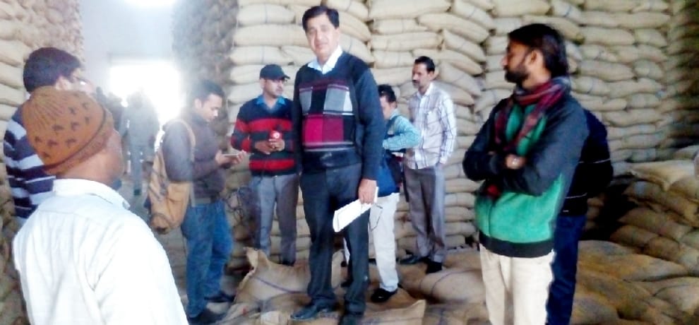 After running a maze of black money, wheat, used double the price
