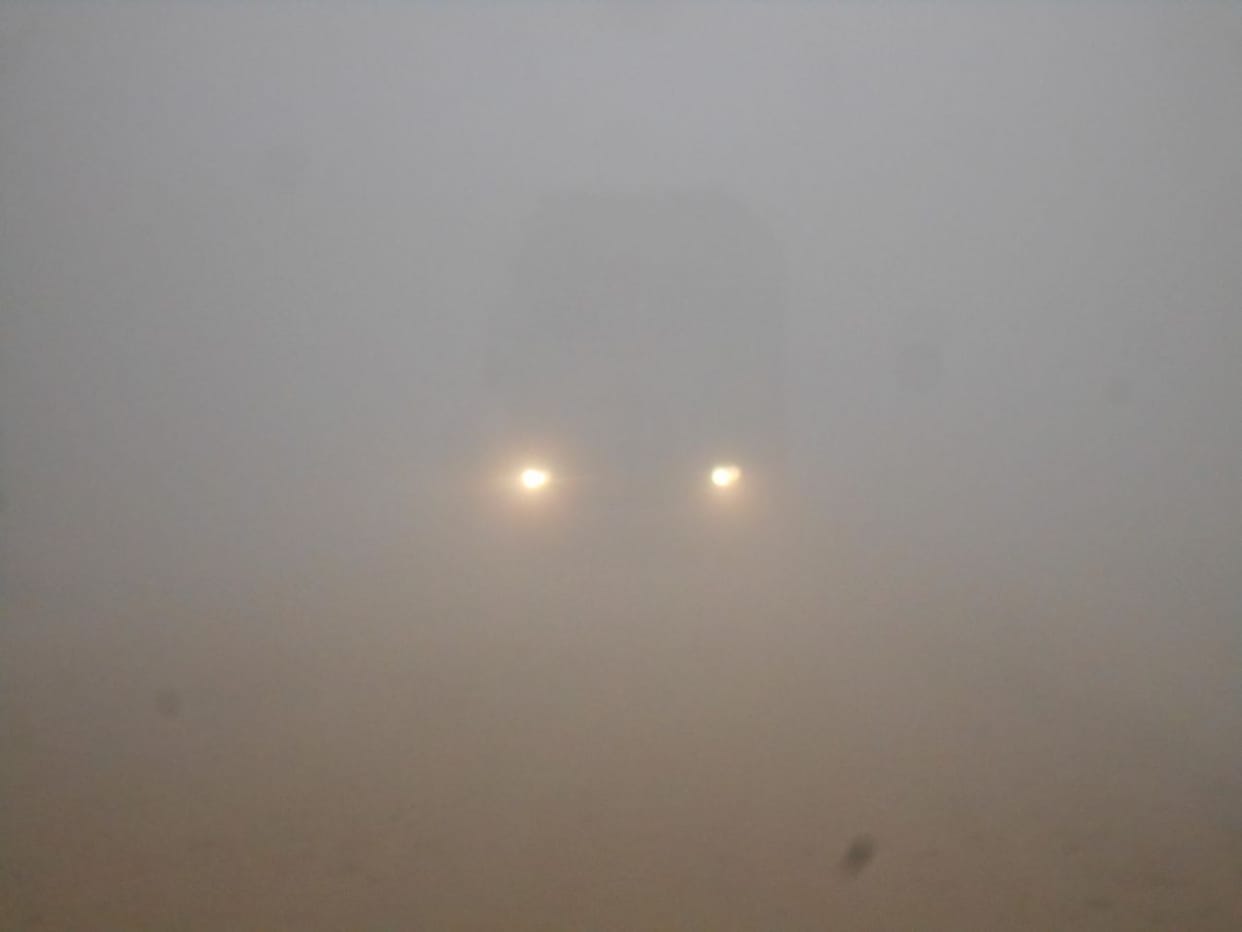 Fog will welcome the new year
