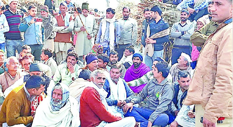 Farmers planted in Shahpur jam