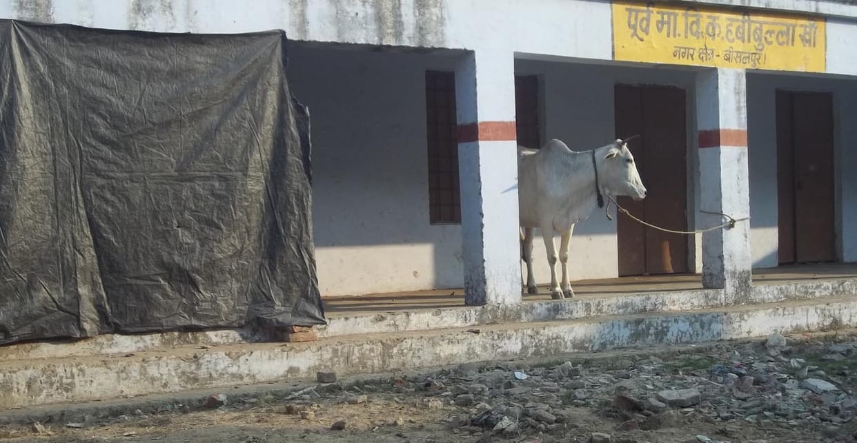 The illegal occupation of the school building