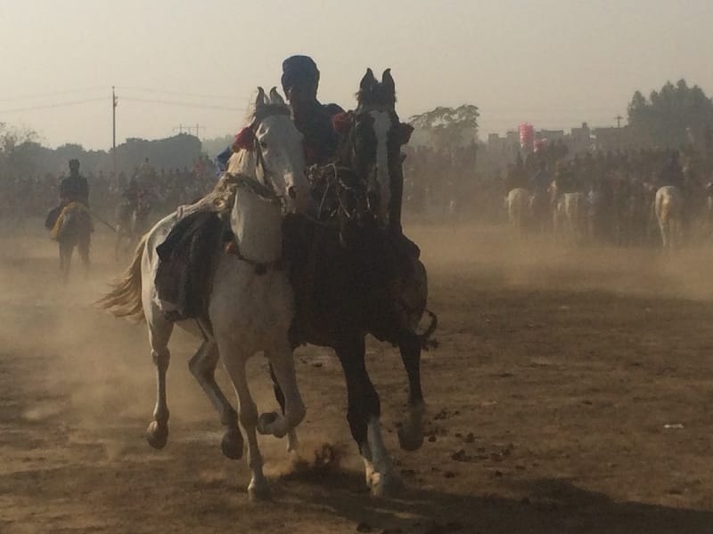 Martyrdom mail contacts, Nihang Singh, riding, amazing feat, Kirtan Nagar, Ropar