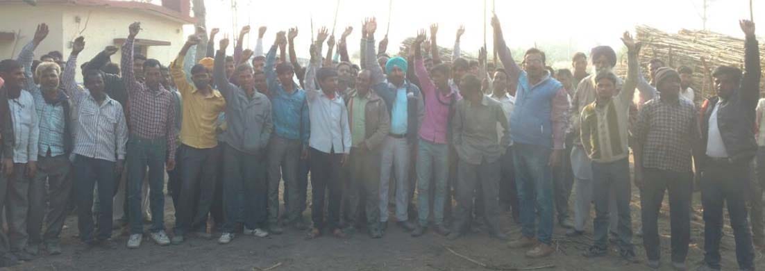 GM farmers angered by the slow weight and cut hoop