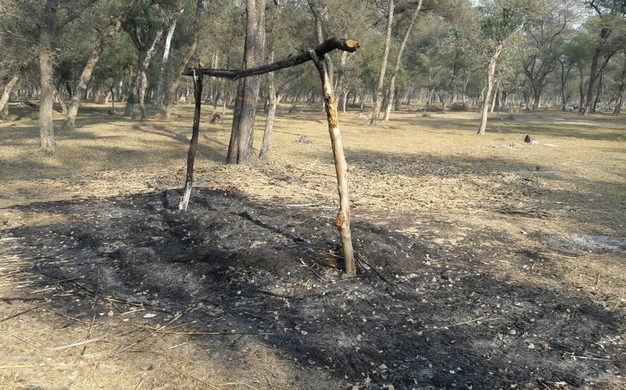 Set fire to two forest patrolling checkpoints