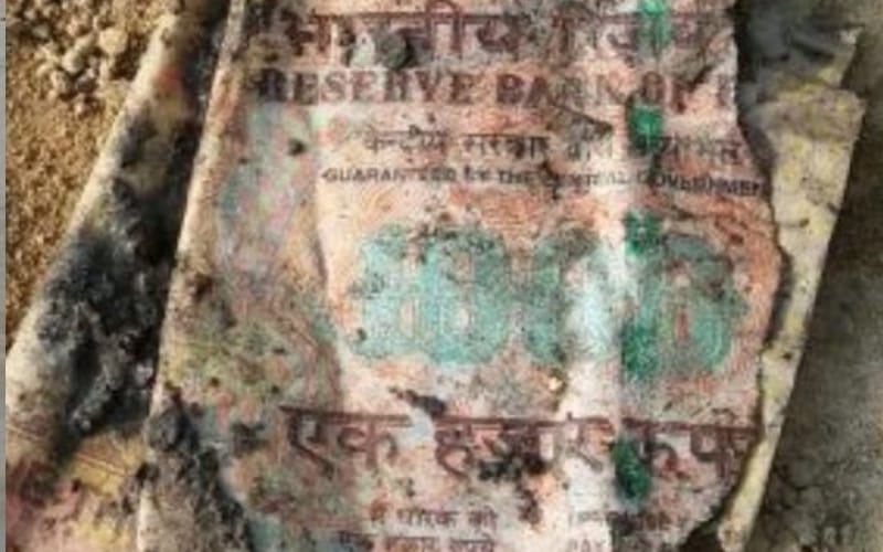 old currency found in lucknow kukrail drain