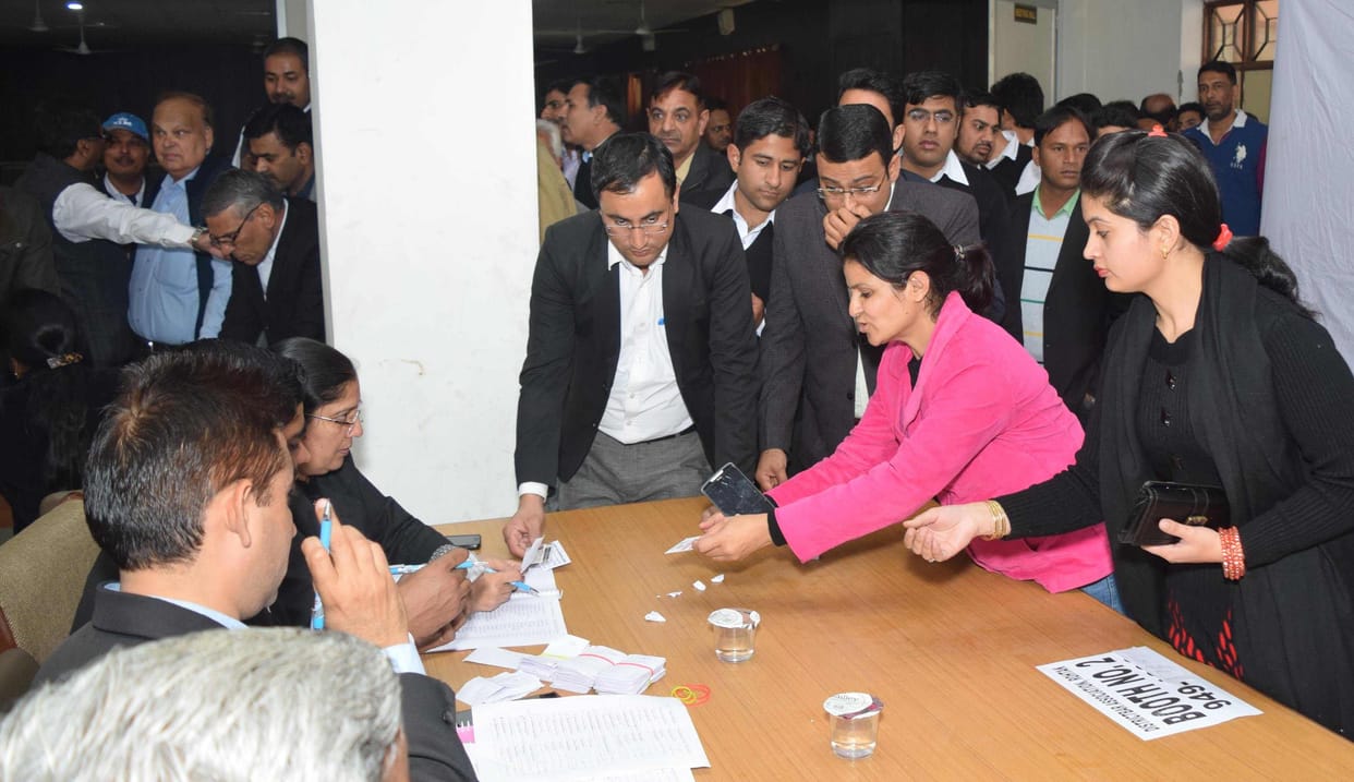 district bar association, rohtak, advocate, haryana, deepak, election, president, vote