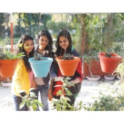 Flower show in HAU, state level, Hisar